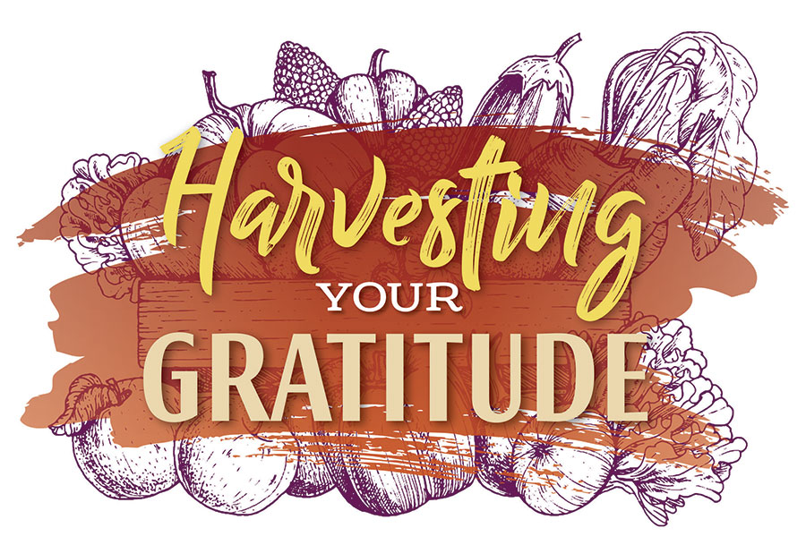 Harvesting your gratitude icon