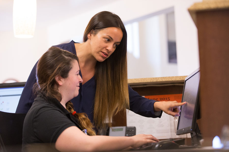 Two nurses working at computer